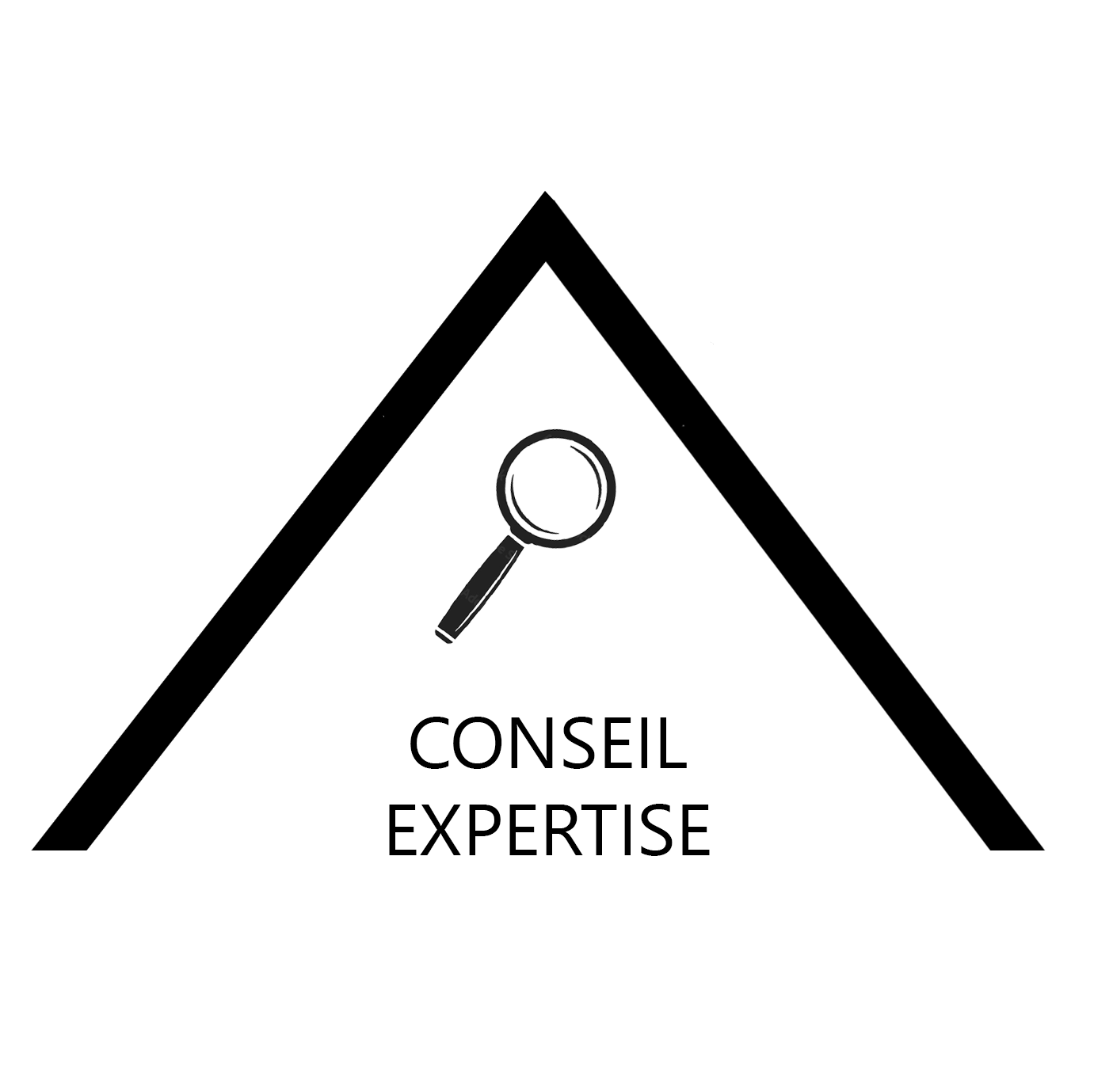 Conseil expertise